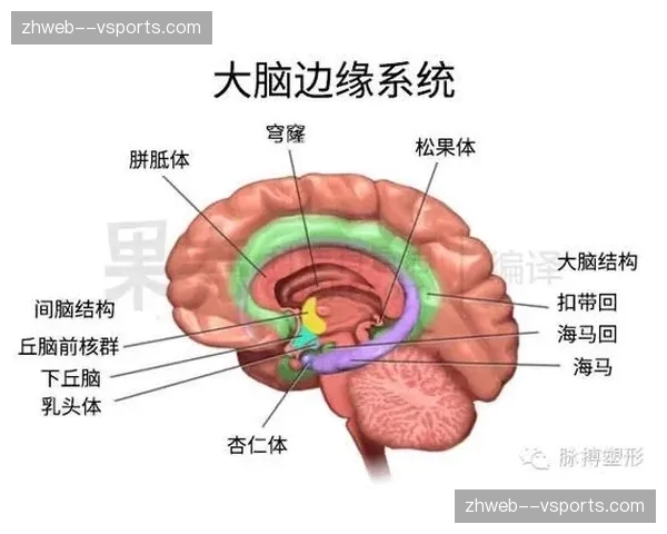 调度中枢逻辑优化 极端情况下资源调配更具韧性